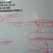 Shark Dive Briefing