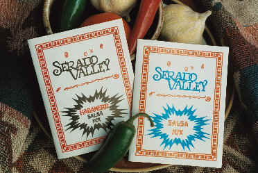 salsamix.jpg (52381 bytes)